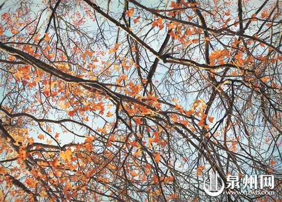 冬日暖阳最可爱 今明温暖如春来 - 憨鼠网