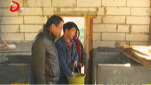 许成根：豪猪养殖“第一人” - 憨鼠网