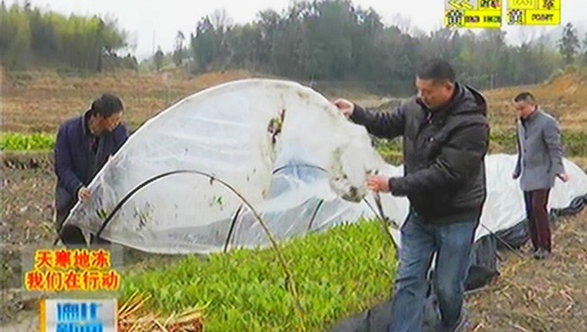 赤水镇：全力做好低温天气防冻抗寒保暖工作 - 憨鼠网