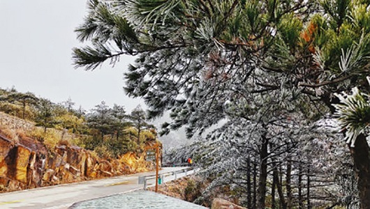 德化迎来2018年首场降雪 九仙山已出现积雪 - 憨鼠网