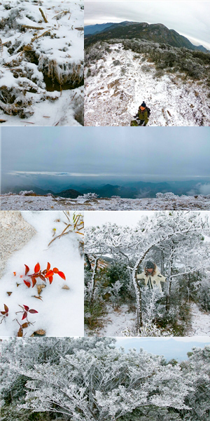 戴云雪 - 憨鼠网
