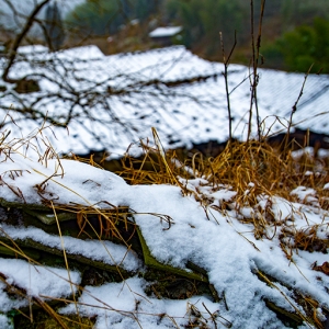 桂阳乡·雪1 - 憨鼠网