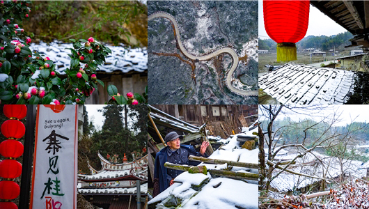 看德化：桂阳乡·雪 - 憨鼠网