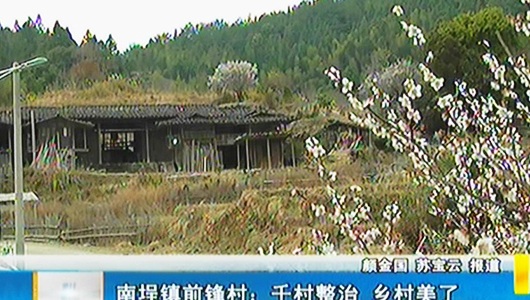 南埕镇前锋村：千村整治 乡村美了 - 憨鼠网