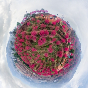 高阳村生态农业园 - 憨鼠网