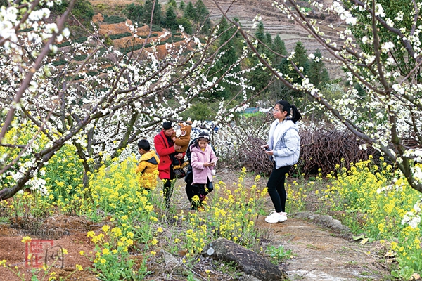 “点线面”致力打造全域旅游 - 憨鼠网