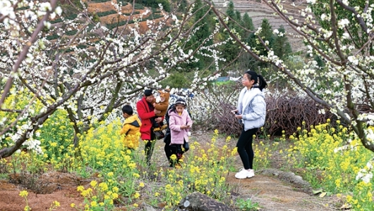 “点线面”致力打造全域旅游 - 憨鼠网