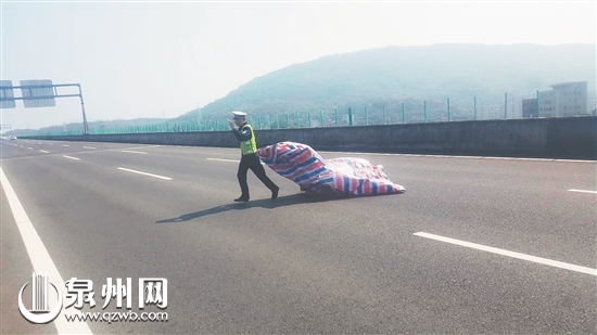 高速交警支招五种“躲雷”法 - 憨鼠网