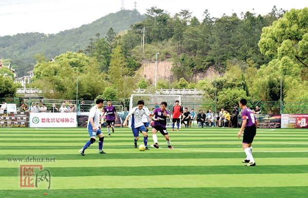 桃花岛首迎五人制足球邀请赛 - 憨鼠网
