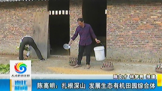 陈高明：扎根深山 发展生态有机田园综合体 - 憨鼠网