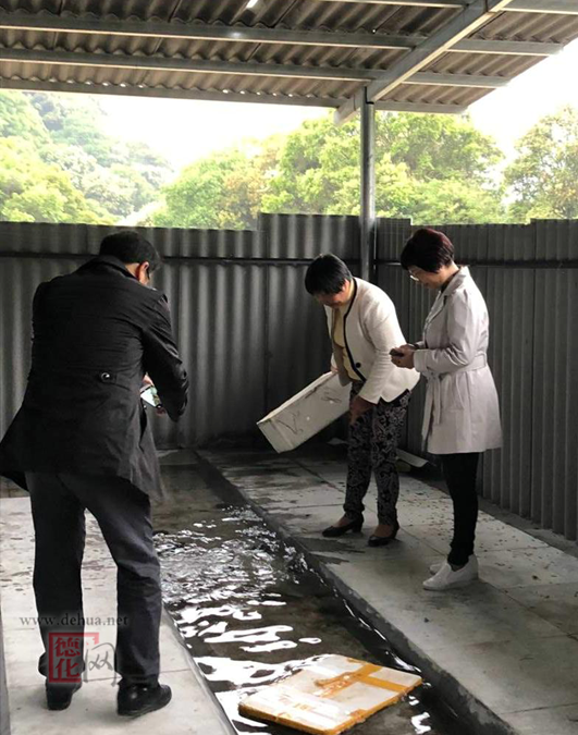 泉州市林业局党组副书记李丽玲到德化调研 - 憨鼠网