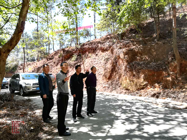 福建省林业厅造林处到德化县调研造林绿化工作 - 憨鼠网