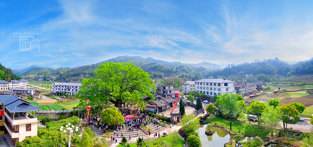 图集：古樟小镇首届民俗文化旅游节 - 憨鼠网