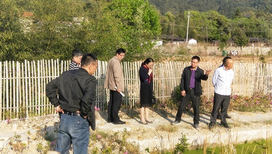 泉州市审计局延伸审计德化县美丽乡村建设情况 - 憨鼠网