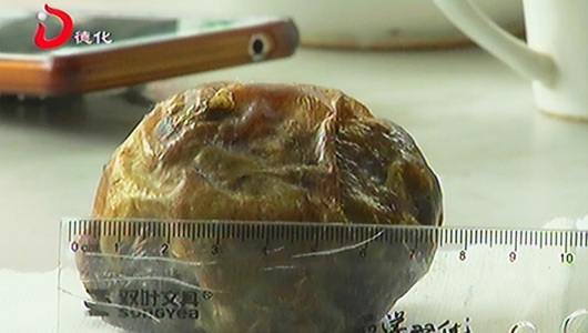 宝美：居民杀鸡疑获“鸡宝” - 憨鼠网