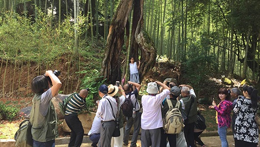 德化县摄影家协会开展“德化旅游二环线”采风活动 - 憨鼠网