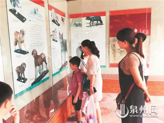 “5·18”国际博物馆日 泉州15座博物馆将推出近40项活动 - 憨鼠网