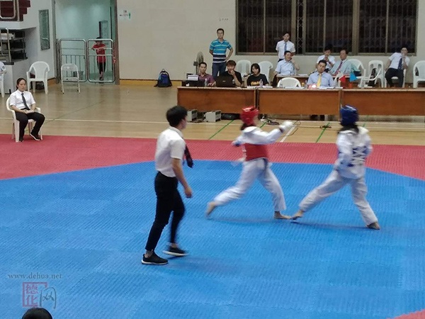 浔中中心小学跆拳道队在2018年市锦标赛上喜获佳绩 - 憨鼠网