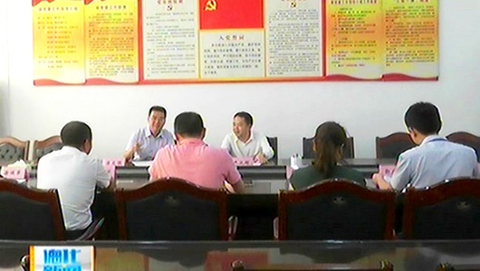 副市长肖汉辉到浔中镇调研村级组织换届选举工作 - 憨鼠网