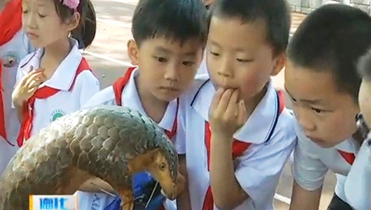 国际生物多样性日：科普进校园 - 憨鼠网