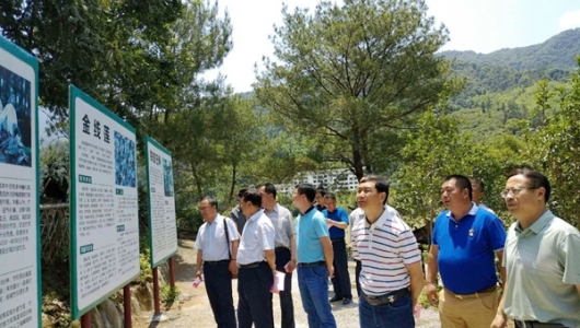 国家林业局驻西安专员办到德化学习考察森林资源档案管理工作 - 憨鼠网
