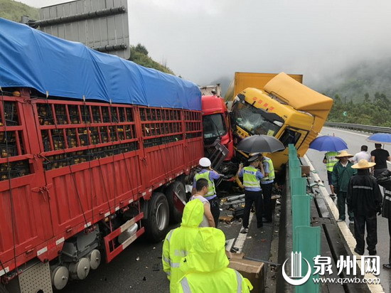 今晨突发！沙厦高速德化路段发生多车连环事故 - 憨鼠网
