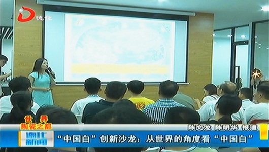 “中国白”创新沙龙：从世界的角度看“中国白” - 憨鼠网