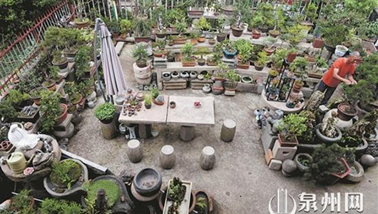 变废为宝 “妙趣”横生 - 憨鼠网