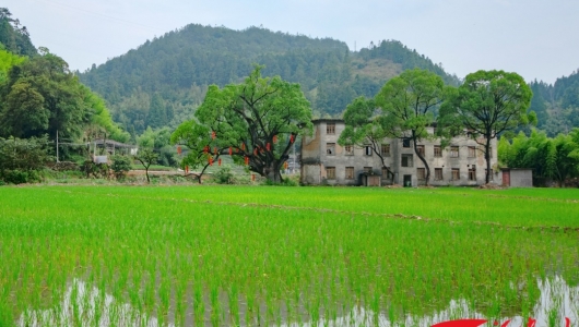 德化：昔日污染村“脱胎”变花园 - 憨鼠网