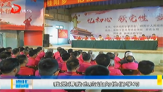 桂阳乡开展主题党日系列活动 - 憨鼠网
