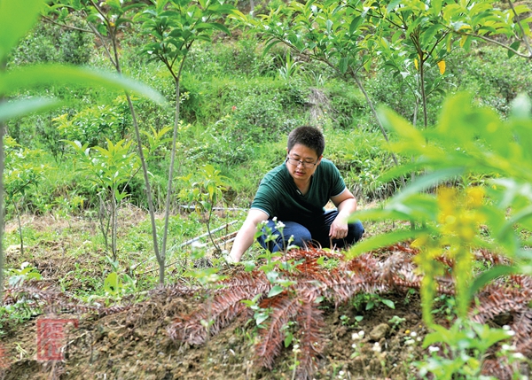 寇森林：精耕细作 小山丘变“金山” - 憨鼠网