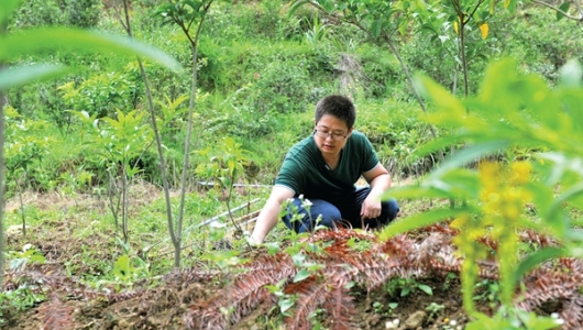 寇森林：精耕细作 小山丘变“金山” - 憨鼠网