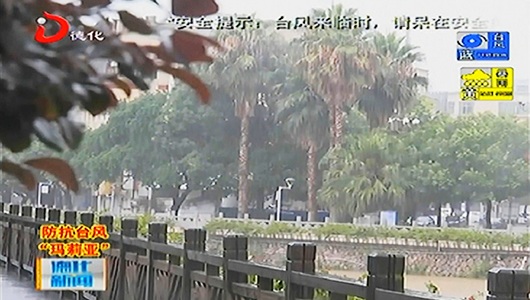 台风“玛莉亚”带来降雨部分暴雨 - 憨鼠网