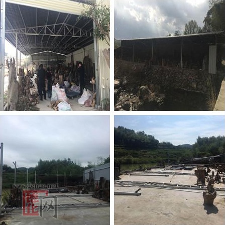 雷峰镇加强“两违”管控 - 憨鼠网