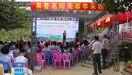 高阳村举办芙蓉李采摘节 推进“乡村振兴战略” - 憨鼠网