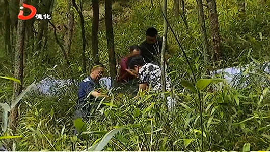 戴云山保护区开展氮沉降样地野外监测科研试验 - 憨鼠网