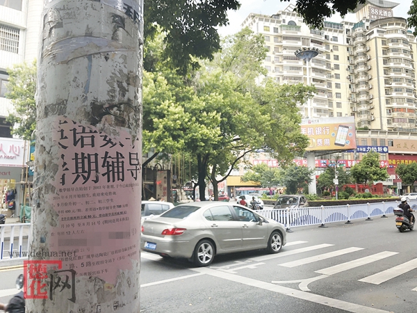 “牛皮藓”广告影响市容 - 憨鼠网