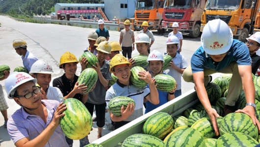 夏日送清凉 关爱入心田 - 憨鼠网