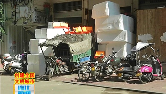 龙浔片区：成效初显 部分死角待治理 - 憨鼠网