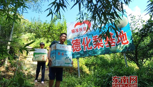 镇干部变身“卖梨哥” 5万斤梨5天销售一空 - 憨鼠网