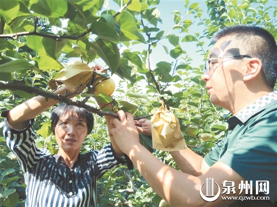 帮助果农解决销售难题，基层干部郭建雄——扶贫卖力多 乐当卖梨哥 - 憨鼠网