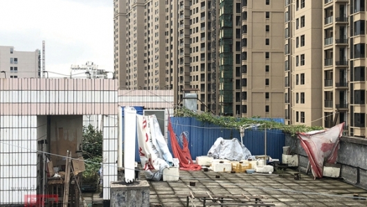 城市屋顶种菜 - 憨鼠网