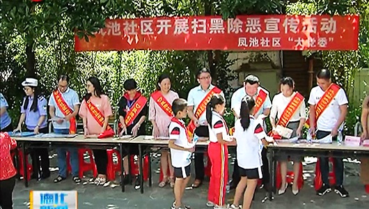 凤池社区“大党委”开展扫黑除恶专项斗争宣传活动 - 憨鼠网