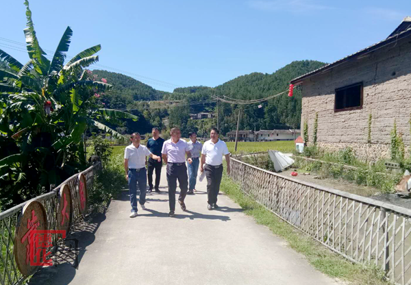 我县乡村旅游发展指导小组深入乡村游景点开展调研活动 - 憨鼠网