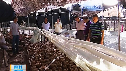 县农业局开展节前农产品质量安全专项检查 - 憨鼠网