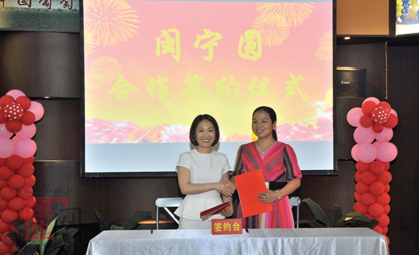 闽宁合作发展恳谈会召开 - 憨鼠网