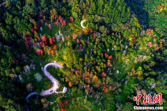 闽南深山红叶飘 牛母岐美若油画 - 德化论坛