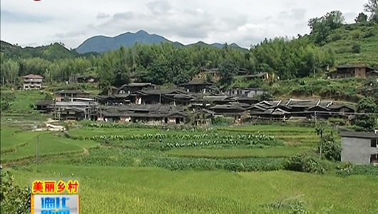 瑞坂村：小乡村大整改 努力实现“美丽”蜕变 - 憨鼠网