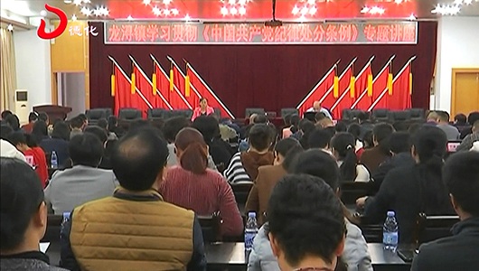 龙浔镇：新一届村（社区）两委干部培训 提高服务和履职能力 - 憨鼠网