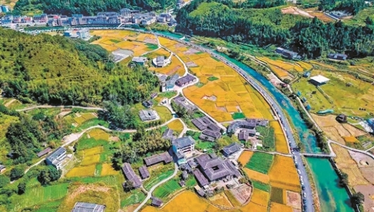 泉州市特色村镇：“小空间”书写“大梦想” - 憨鼠网